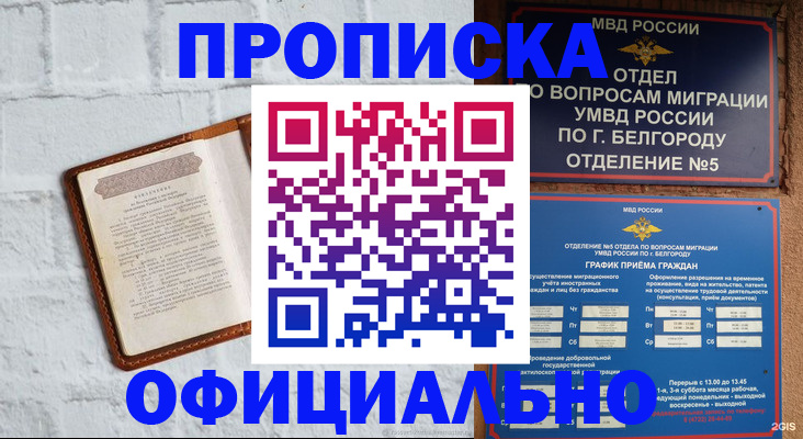 временная регистрация для школы в Павловске